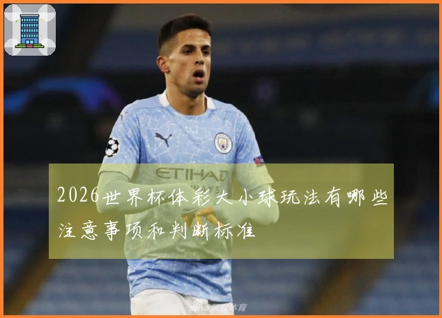2026世界杯体彩大小球玩法有哪些注意事项和判断标准