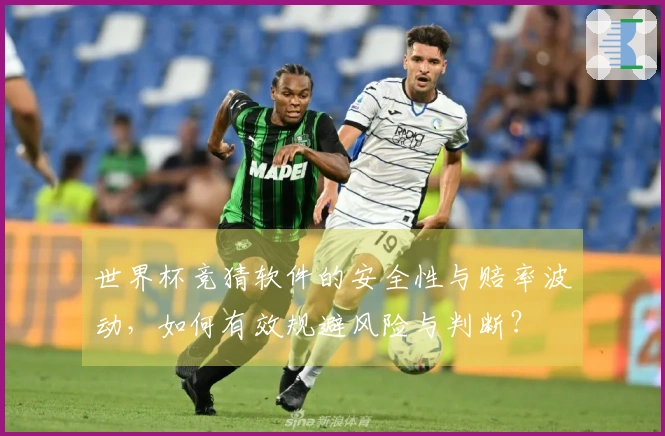 世界杯竞猜软件的安全性与赔率波动，如何有效规避风险与判断？