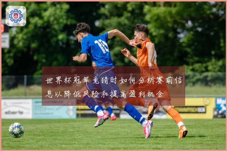 世界杯冠军竞猜时如何分析赛前信息以降低风险和提高盈利机会