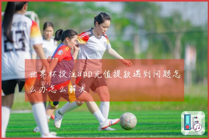 世界杯投注app充值提款遇到问题怎么办怎么解决