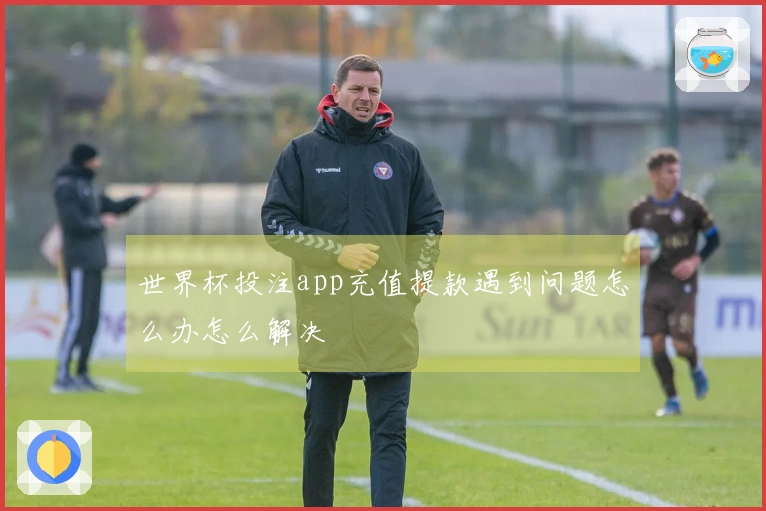 世界杯投注app充值提款遇到问题怎么办怎么解决