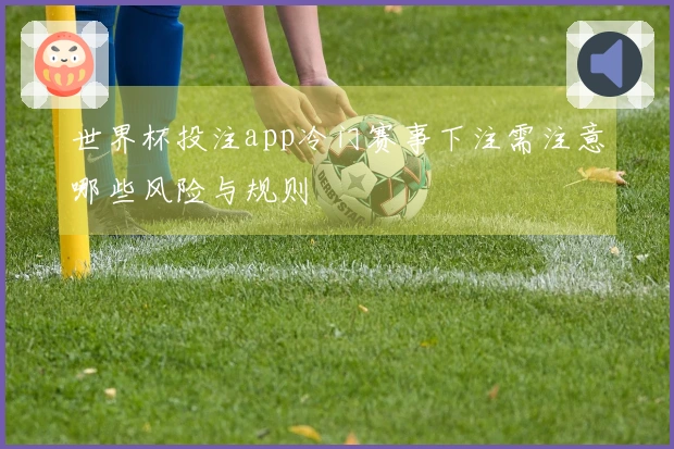 世界杯投注app冷门赛事下注需注意哪些风险与规则