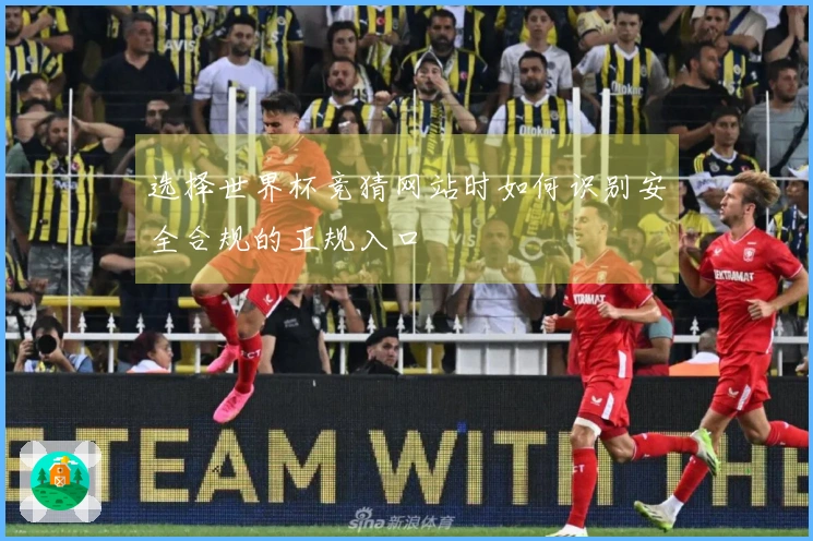 选择世界杯竞猜网站时如何识别安全合规的正规入口