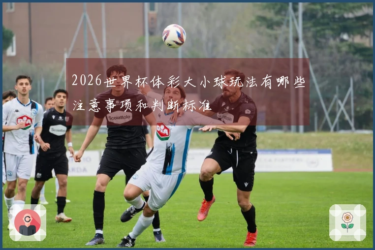 2026世界杯体彩大小球玩法有哪些注意事项和判断标准